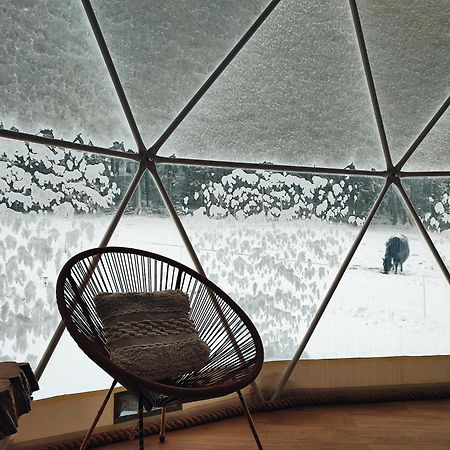 Forrest Glamp Otel Mieroszow Dış mekan fotoğraf