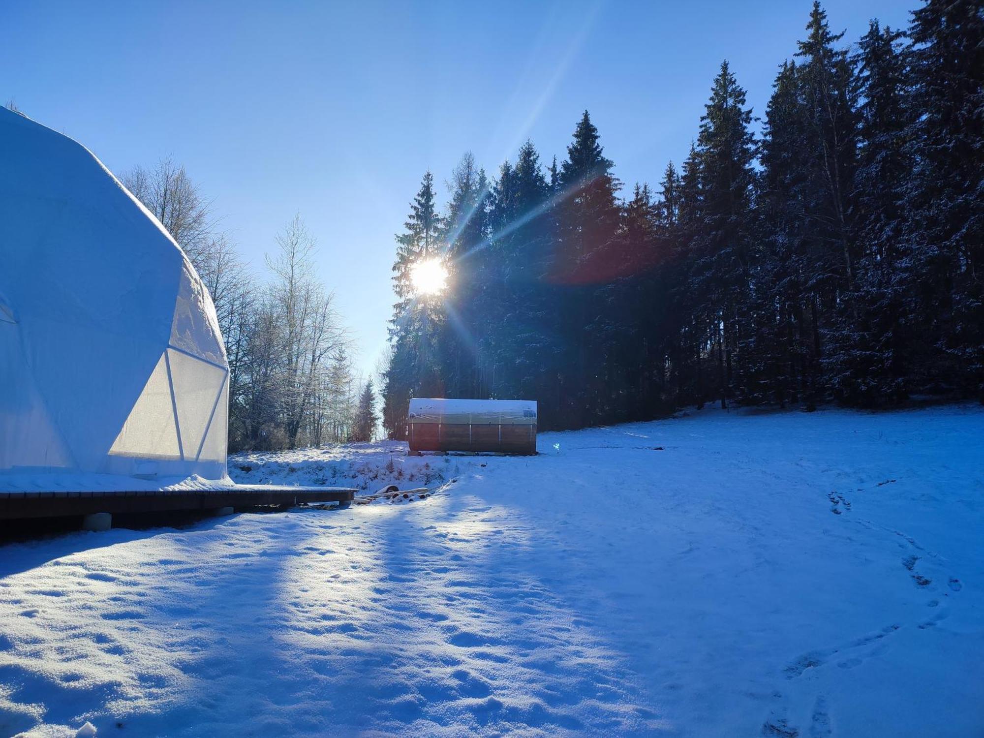 Forrest Glamp Otel Mieroszow Dış mekan fotoğraf