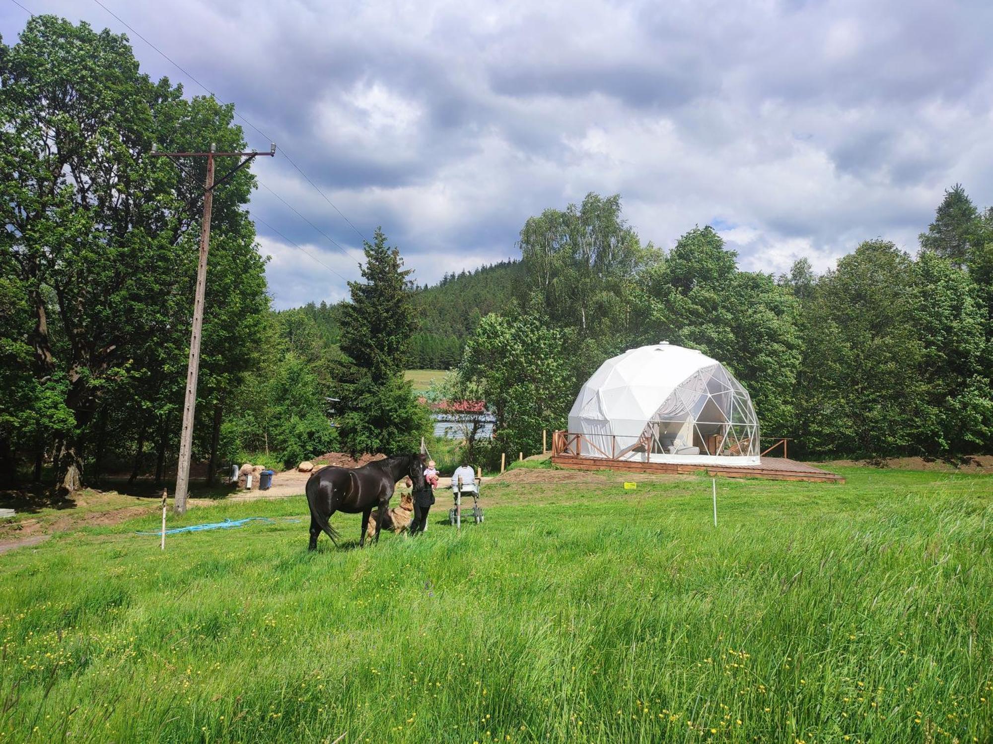 Forrest Glamp Otel Mieroszow Dış mekan fotoğraf