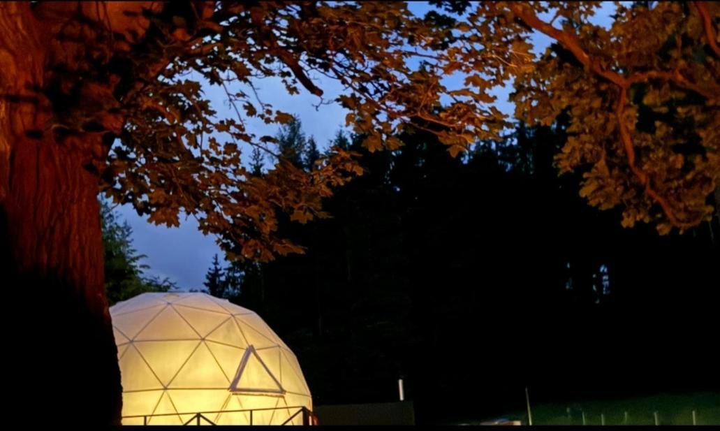 Forrest Glamp Otel Mieroszow Dış mekan fotoğraf