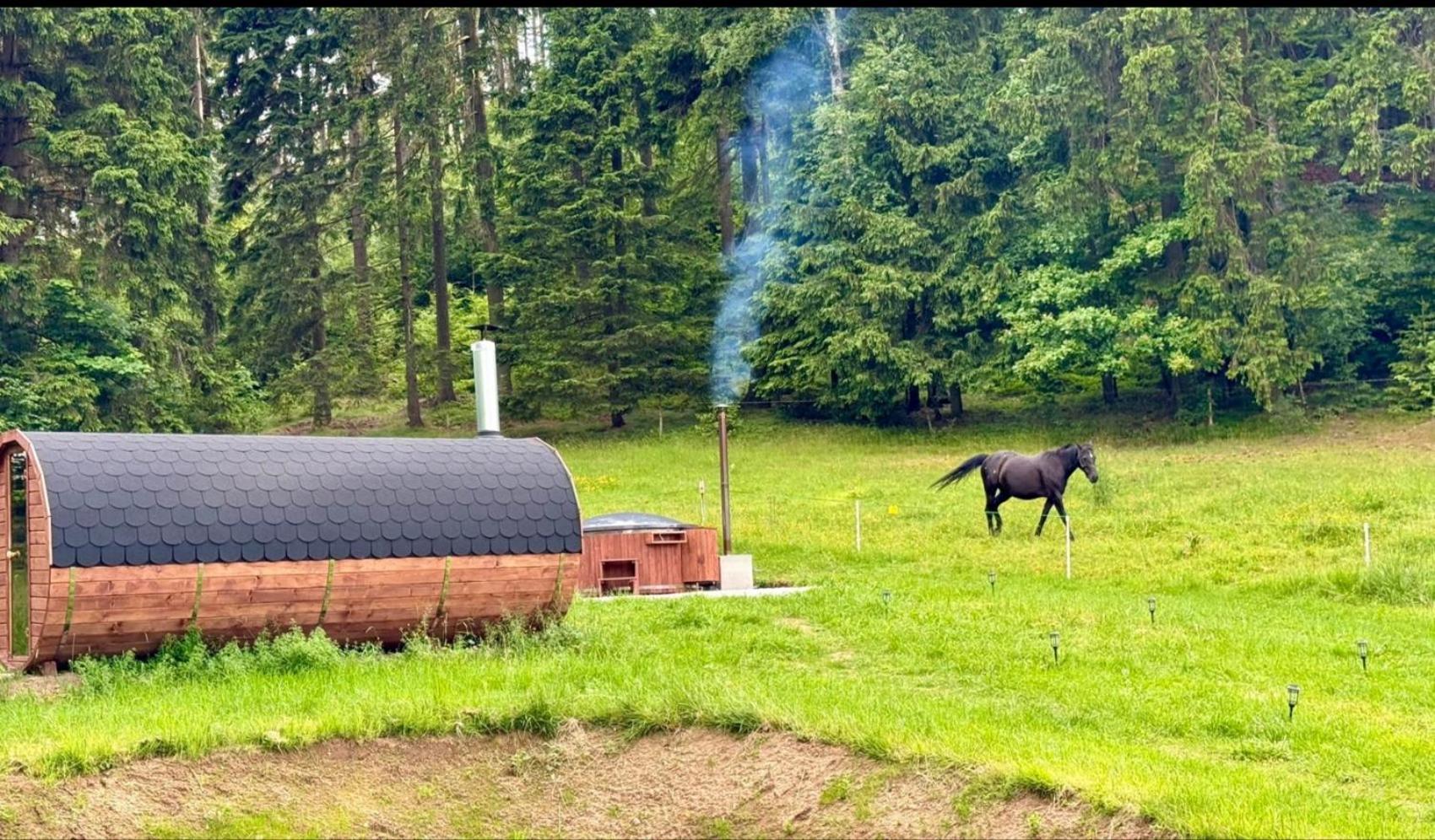 Forrest Glamp Otel Mieroszow Dış mekan fotoğraf