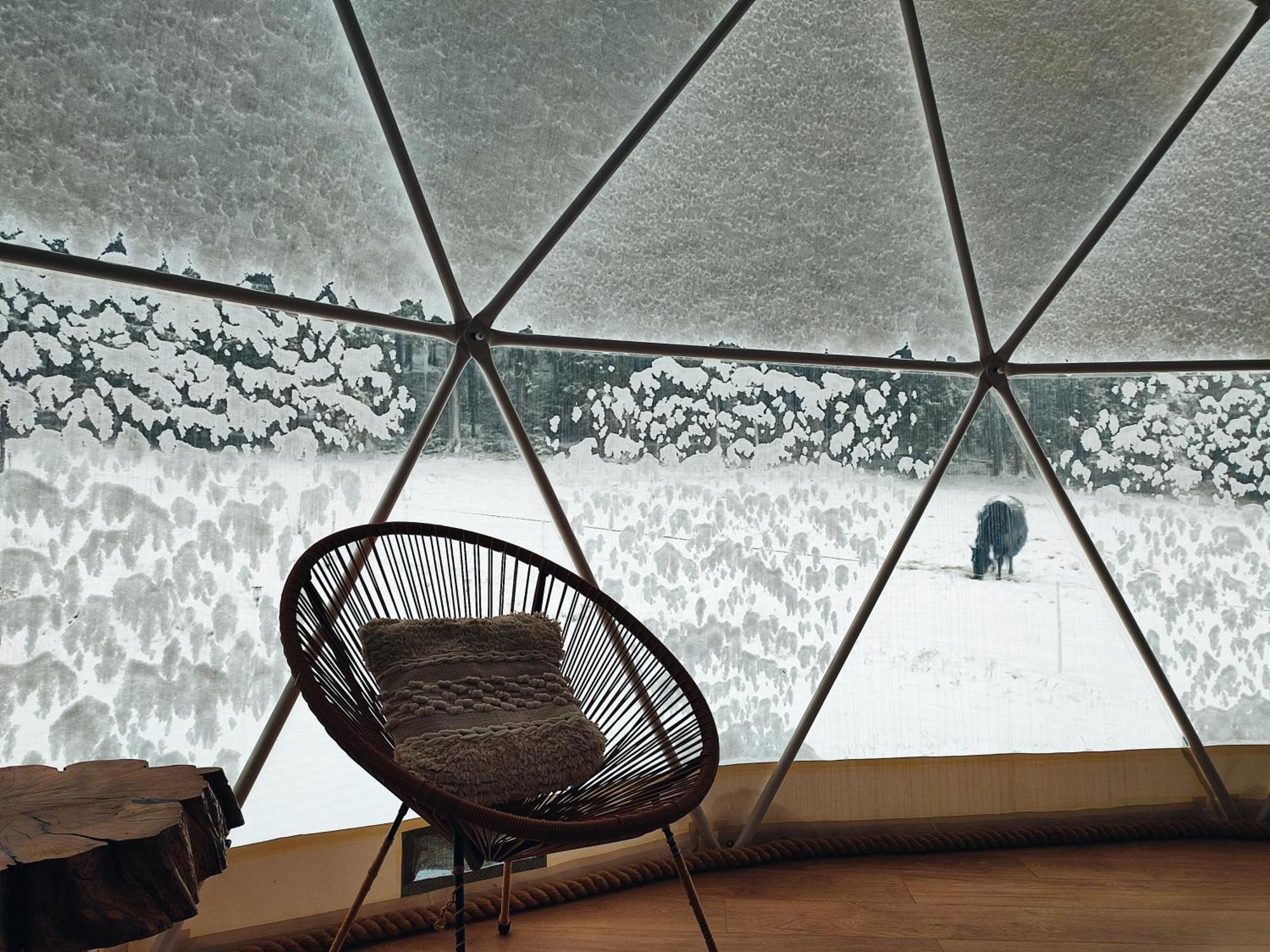 Forrest Glamp Otel Mieroszow Dış mekan fotoğraf