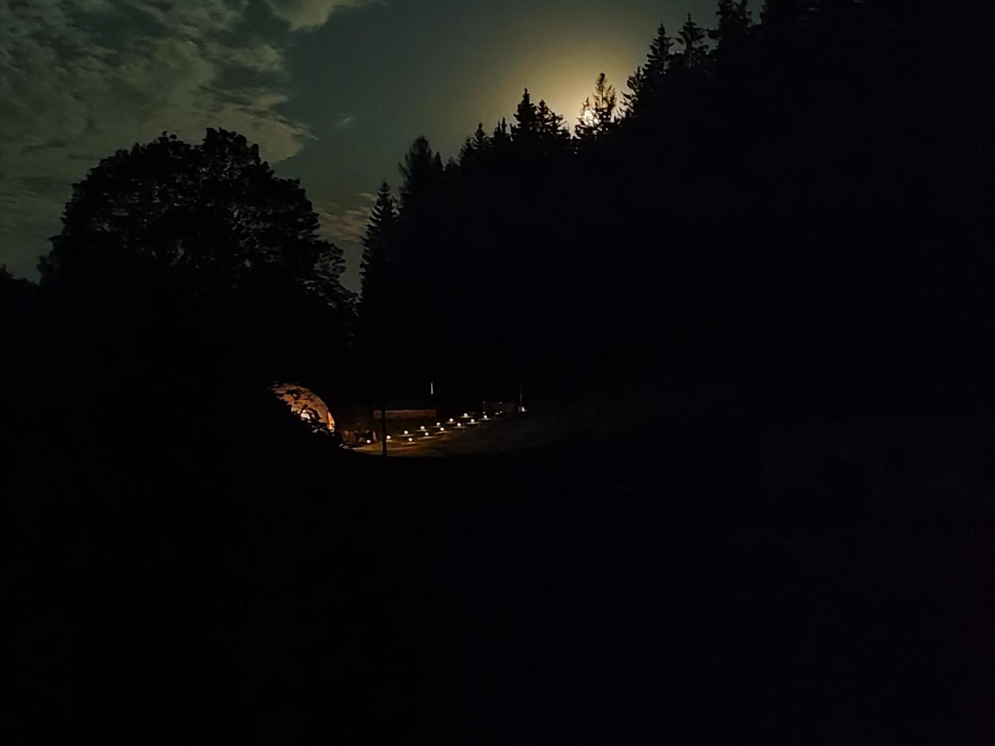 Forrest Glamp Otel Mieroszow Dış mekan fotoğraf