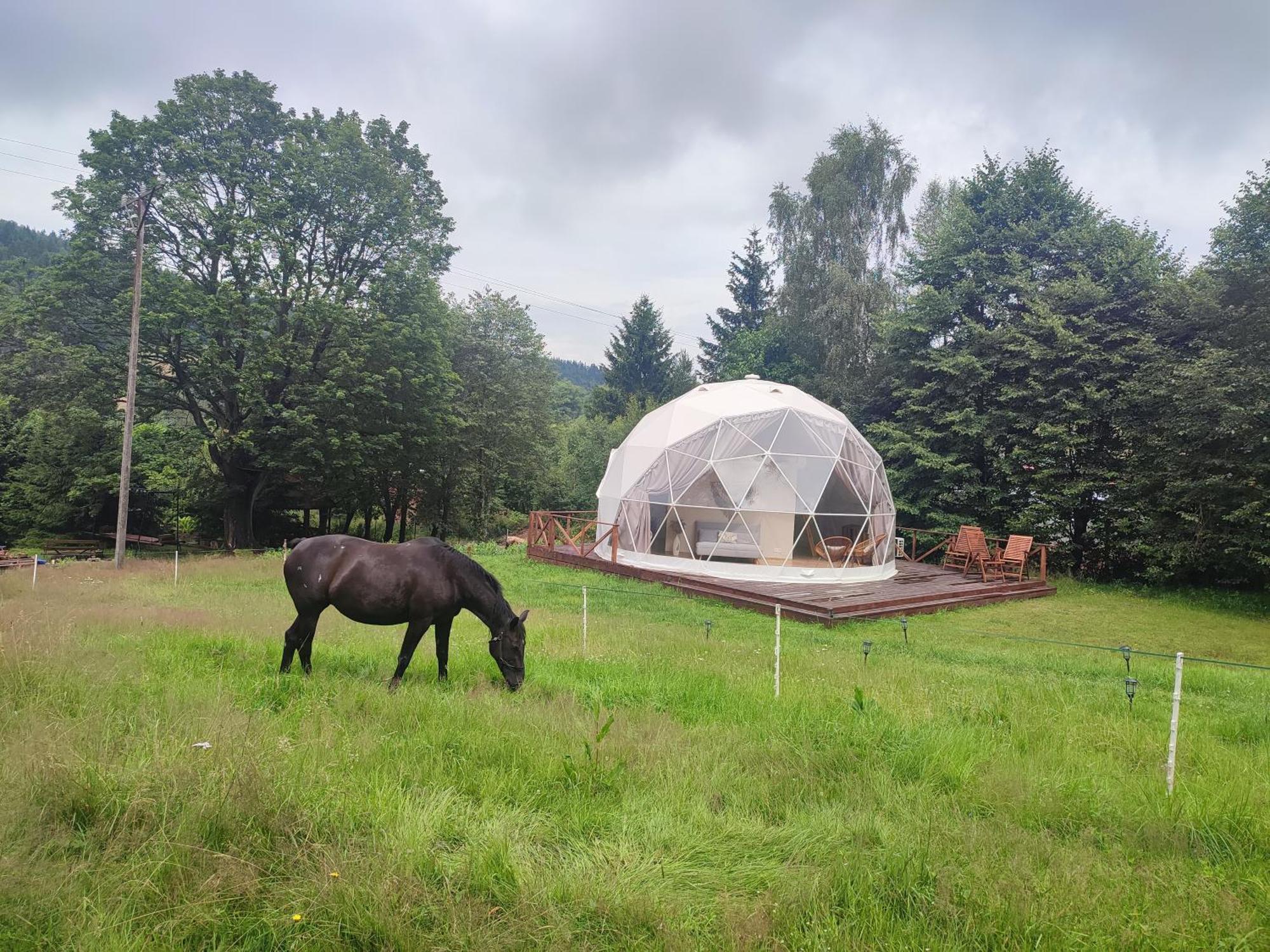 Forrest Glamp Otel Mieroszow Dış mekan fotoğraf